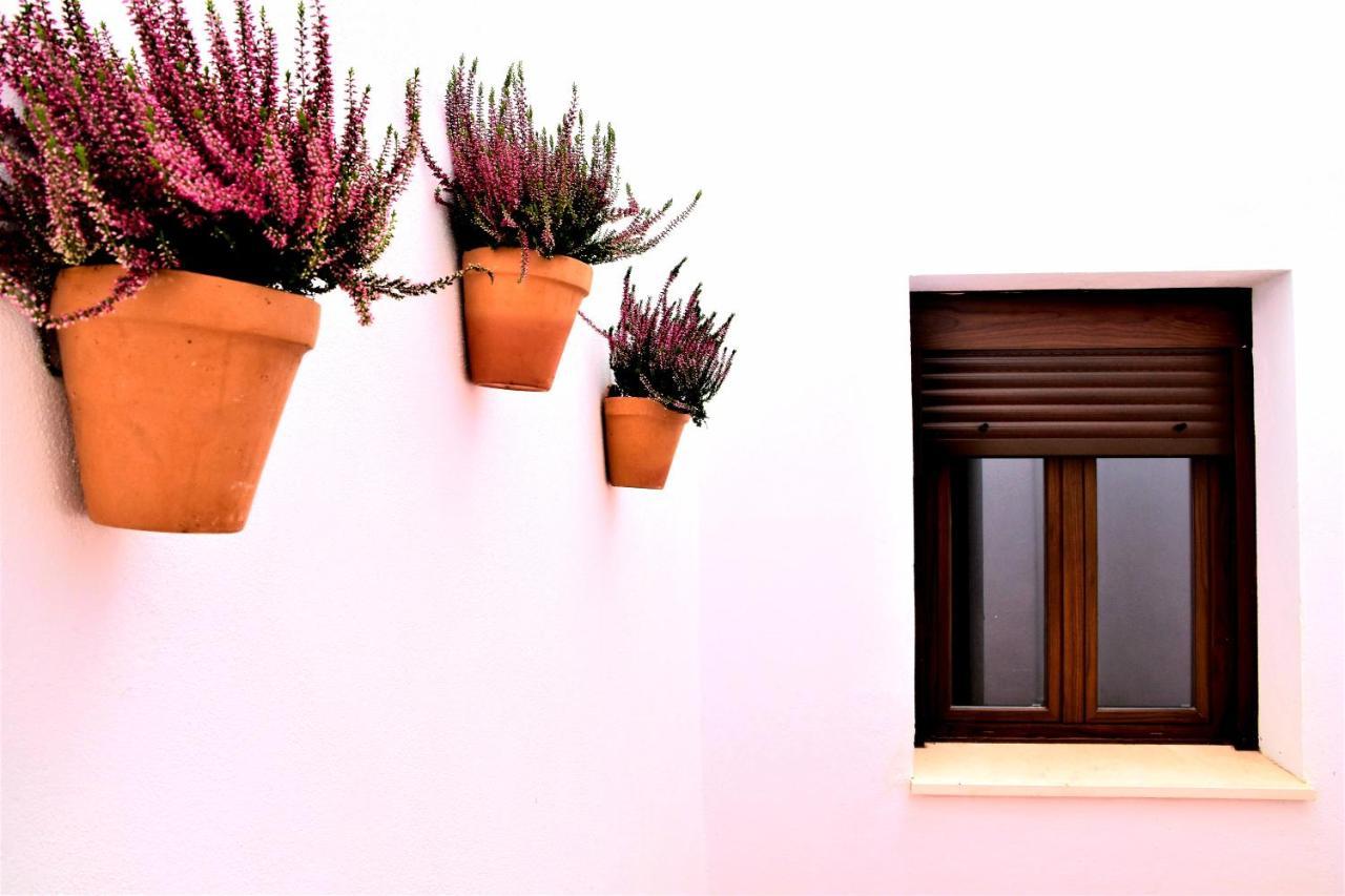 Apartamentos Turisticos Mamelon 헤레스 외부 사진